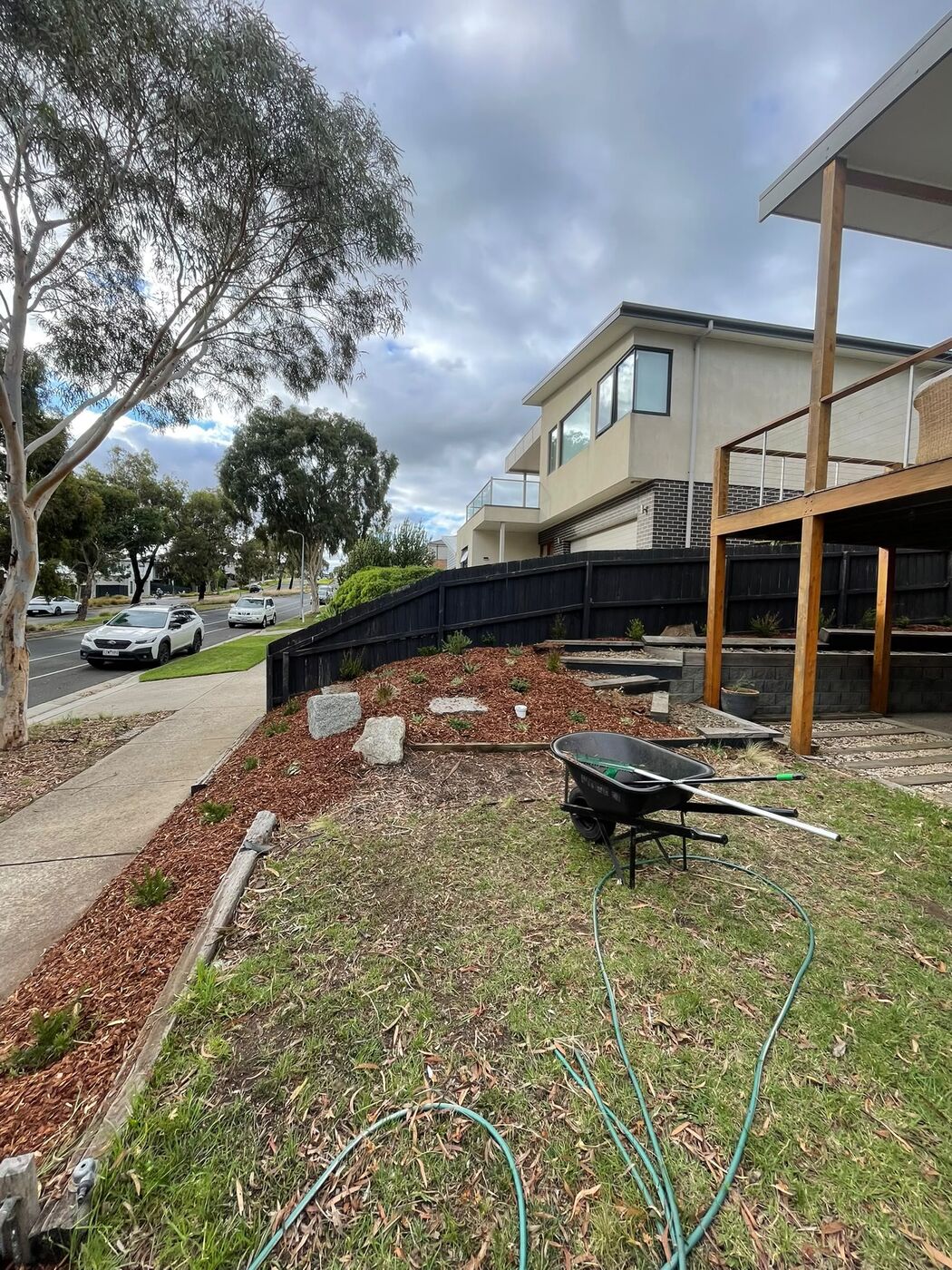 Established garden bed with palms and yuccas, tidied and mulched, after Charlie's clean-up.