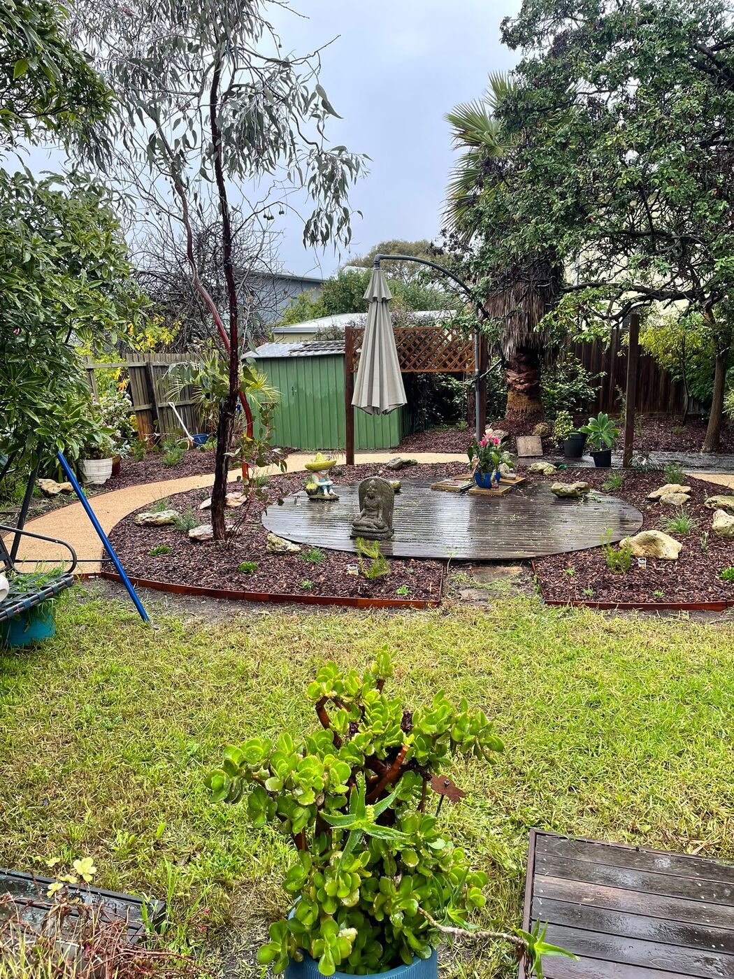 Backyard garden after landscaping, with a circular timber deck feature, mulched beds and new plantings.