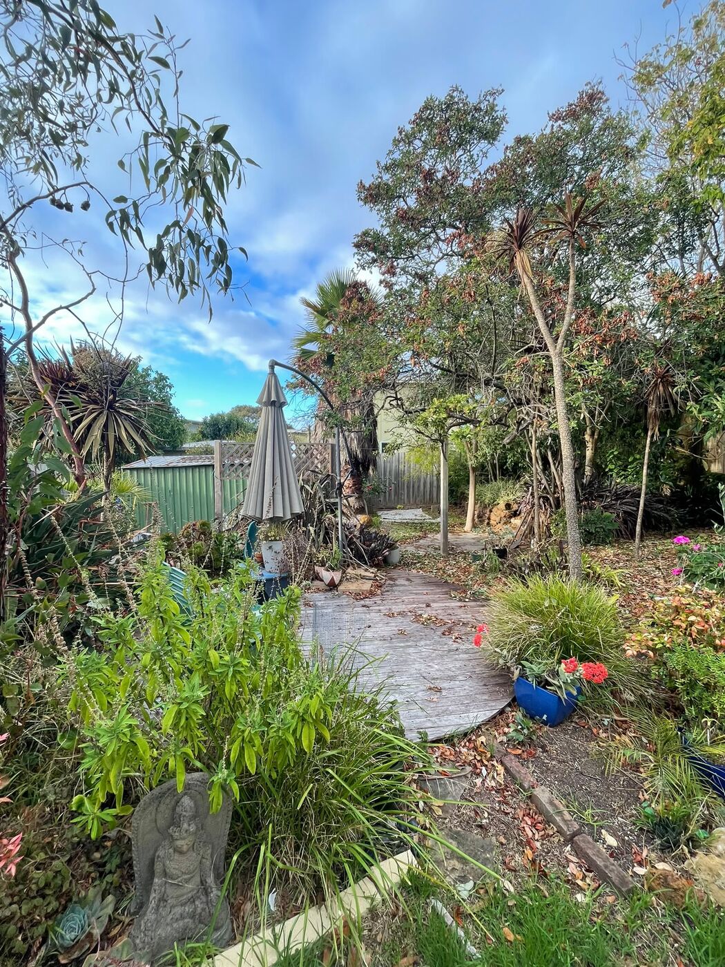 Same backyard before landscaping, overgrown and cluttered with old furniture and plants.