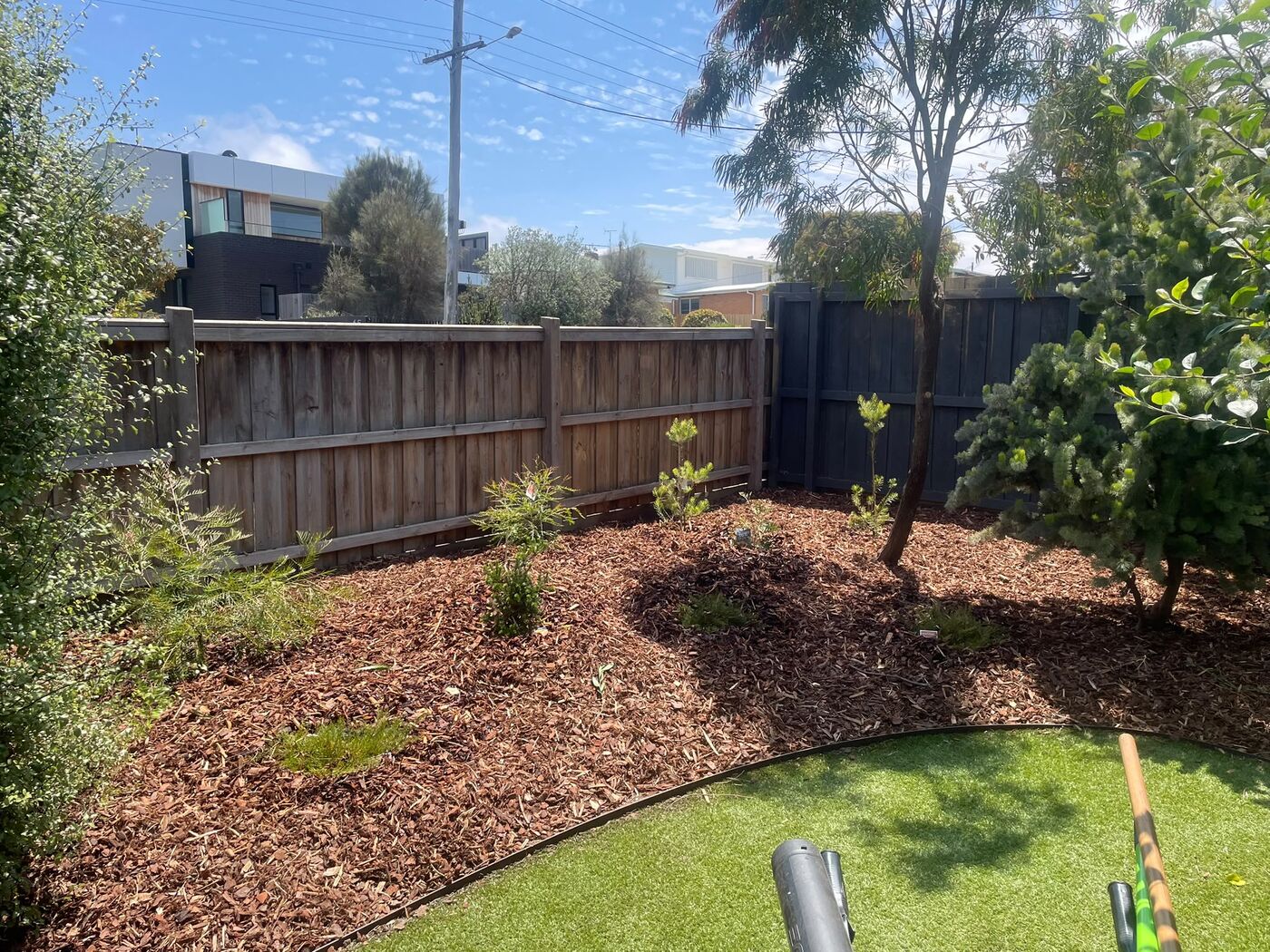Garden bed after maintenance, neatly mulched with young native plantings established along the fence line.